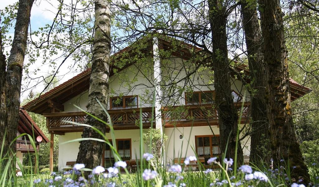 Ferienhaeuser "In Der Waldperle" Bischofsmais Exterior foto